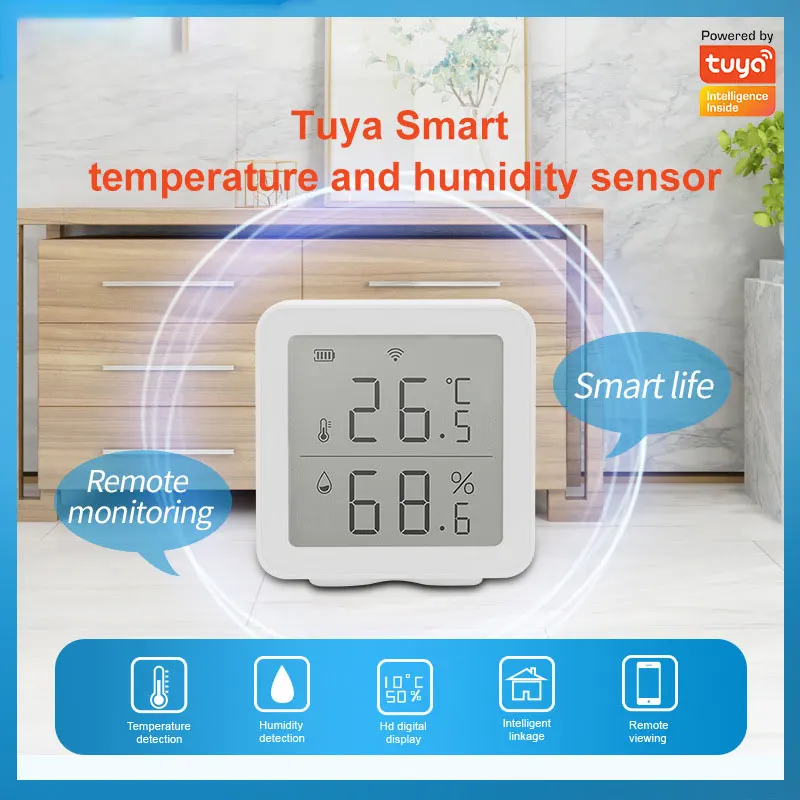 Smart Home Hygrometer
