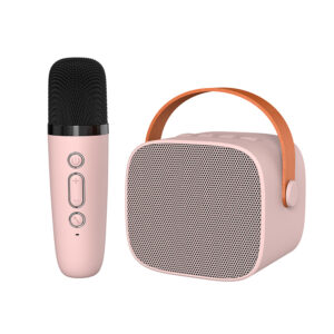 Portable Wireless Karaoke Speaker